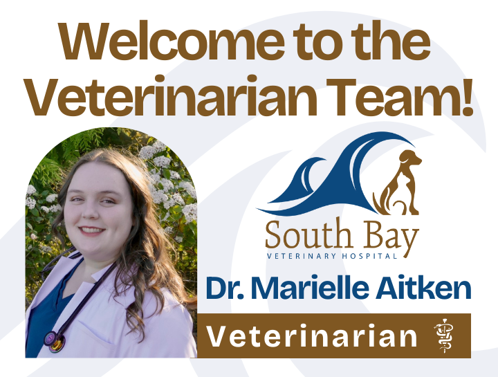 Please Welcome Dr. Aitken!